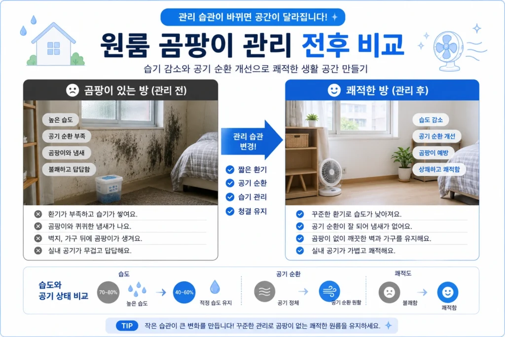 원룸 곰팡이 관리 전후 비교 인포그래픽