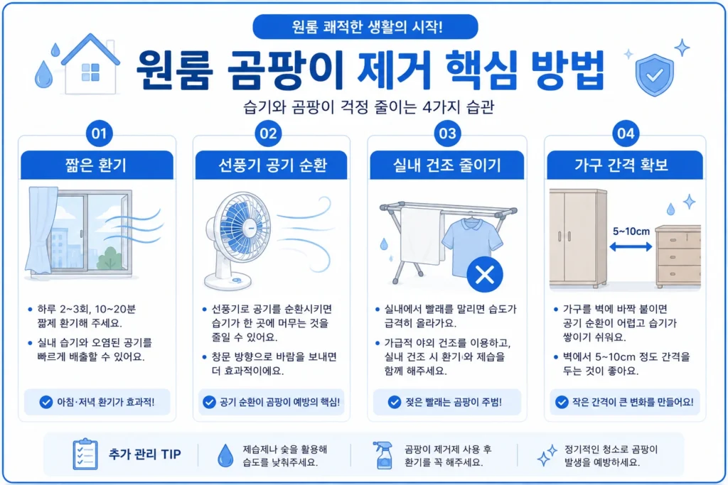 원룸 곰팡이 제거 핵심 방법 인포그래픽
